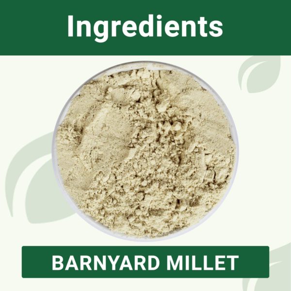 Barnyard Millet Flour (2kg) By B&B Organics Ingredient