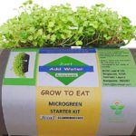 Radish Microgreen Growing Kit by BOSI Leaf