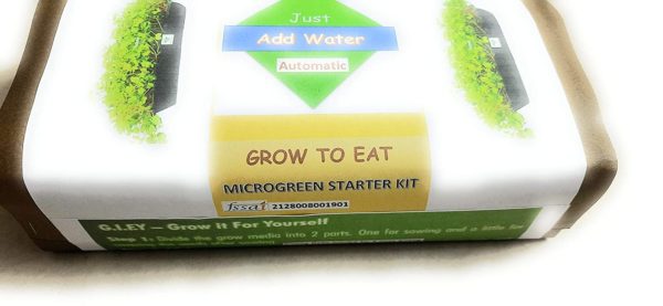 Radish Microgreen Growing Kit by BOSI Leaf Pack