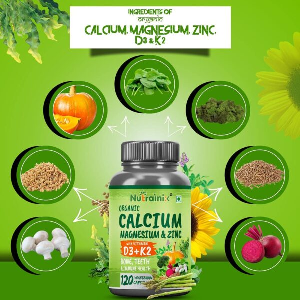 Nutrainix Plant Based Organic Calcium Magnesium Zinc D3 K2 - ingredients